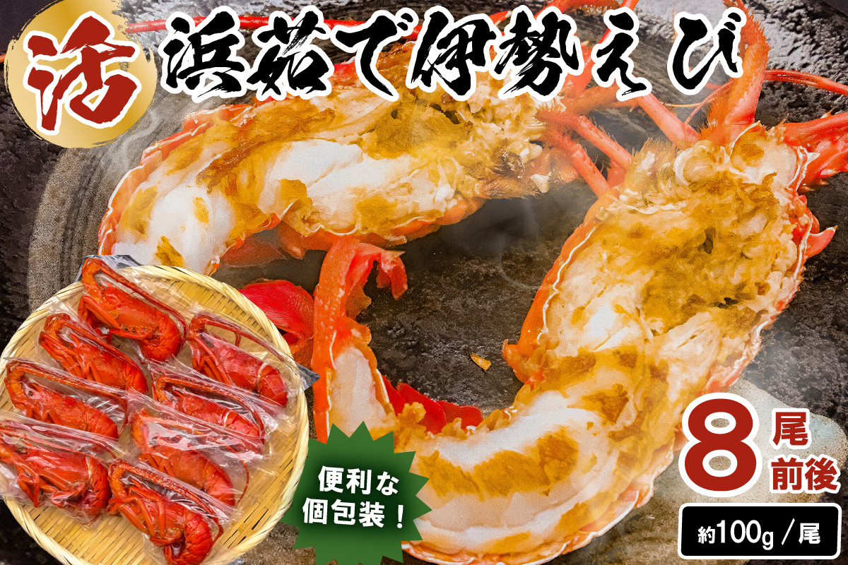 
            【選べる配送月】【天然】ボイル冷凍伊勢海老　約100g×8本前後 mi0020-0002-SKU　【 魚介 海鮮 お祝い ギフト プレゼント 天然 海老 エビ 千葉 冷凍 ボイル】
          