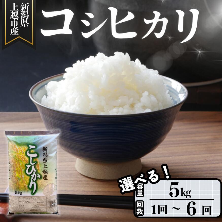 【ふるさと納税】米 定期便 5kg 5キロ 新潟県 上越産 こしひかり 配送回数が選べる お米 精米 白米 ご飯 送料無料　お届け：2025年10月上旬～2026年9月下旬まで