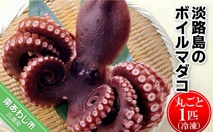 
            【花光】淡路島のボイルマダコ（丸ごと1匹）【冷凍】
          