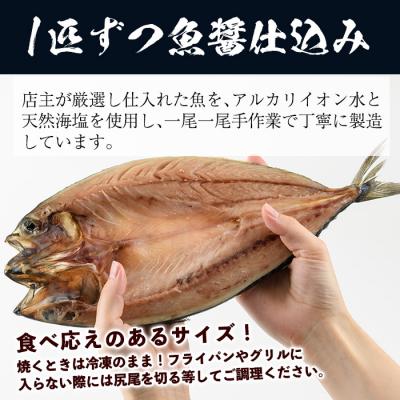 ふるさと納税 いちき串木野市 サバ・アジ・カマスのひもの詰合せセット |  | 02