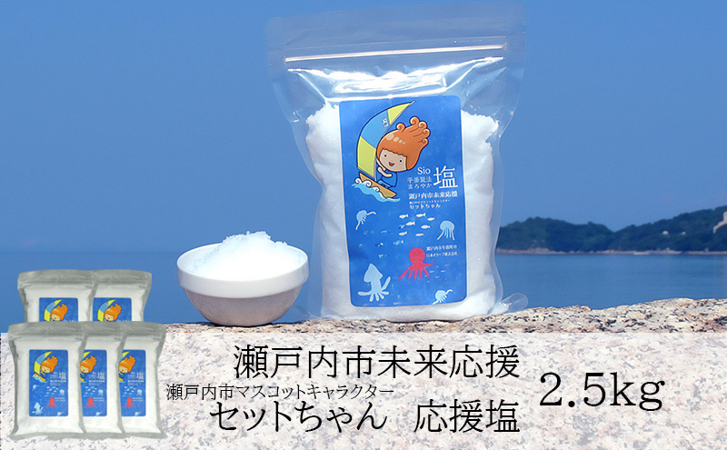 セットちゃん 応援塩 2.5kg(500g×5袋) 塩 フレーク塩 粗塩 調味料 岡山 瀬戸内市