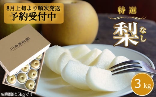 【予約受付中・8月上旬頃より順次発送】川添果樹園の特選梨 約3kg ナシ 果物 フルーツ 和梨 幸水 豊水 南水 秋月 あきづき 新高 国産