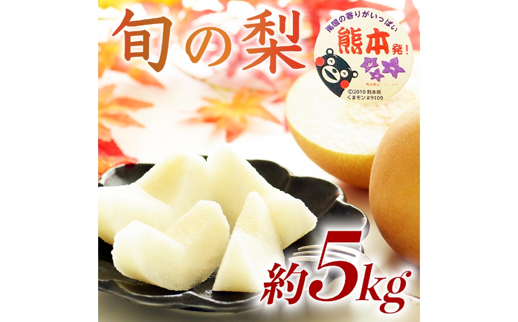 
                  各種梨おまかせ （ 幸水、 豊水、 秋月、 新高、 新興、 秋麗、 甘太、 凛果、 にっこり、 愛宕 いずれか ） 約5kg ( 6 ～ 18玉 ) 梨 なし ナシ 果物 くだもの フルーツ 果実 果汁 果肉 国産 熊本県産 【 2026年8月上旬から10月上旬発送予定 】
                