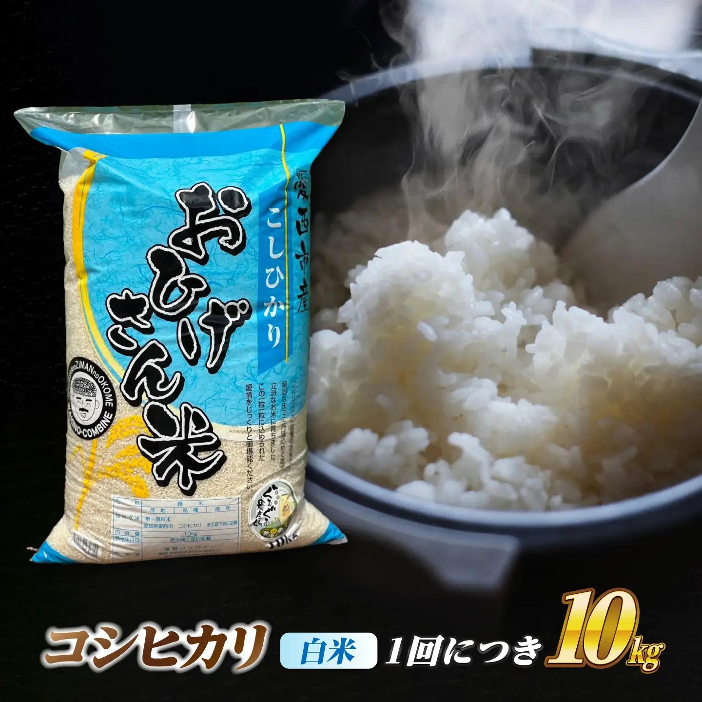 【12回定期便】コシヒカリ 白米 10kg×12か月 / 脇野コンバイン[AECP029]