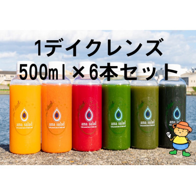 
コールドプレスジュース1デイクレンズラージサイズ(500ml×6本)冷蔵品【1511548】
