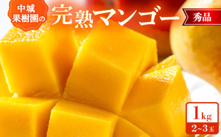 【2026年7月から順次発送・化粧箱】中城果樹園の完熟マンゴー 秀品1.0kg(2～3玉)【配送不可地域：離島】【1673411】