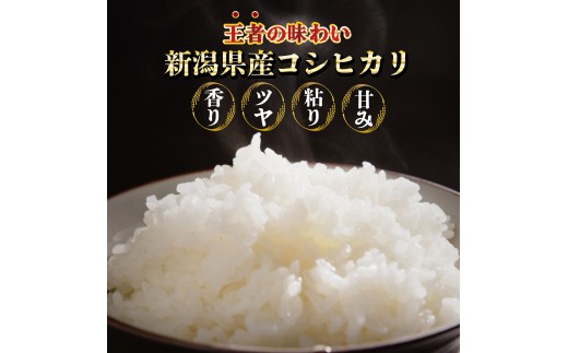 【令和8年産】 コシヒカリ10kg 白米 特別栽培米 (2kg×5袋) 白米 米 こしひかり こめ 大粒 ごはん おにぎり お弁当 農家直送 産地直送 ふるさと納税 姉﨑農園 新潟産 新潟県 新発田市