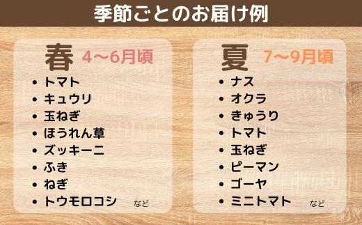 【6ヶ月定期便】新鮮野菜の産直 7～10品目 ＜楠こもれびの郷「楠四季菜市」＞