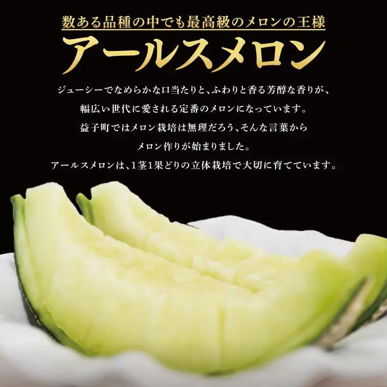 アールスメロン 1玉 益子町 AA040
