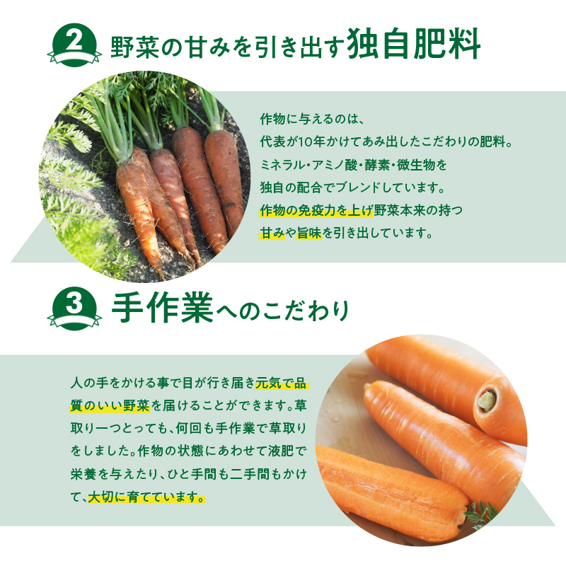 ＜フジテレビ『どっちのふるさと？』で紹介されました！＞ 【福箱★2026】 訳ありマドンナキャロット8.5kg 子どもも食べられる甘み 皮ごと生で食べられる H105-168