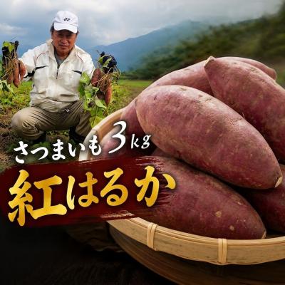 ふるさと納税 豊後高田市 さつまいも紅はるか 3kg | 焼き芋に最適 さつまいも紅はるか
