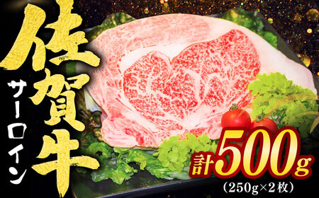 佐賀牛 サーロインステーキ 計500g（250g×2枚） / 佐賀県 / ヤマサン食品 [41ADAA004]