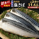 【ふるさと納税】＜選べる定期便＞訳あり 規格外 業務用 無添加 塩さば 1.9kg 鯖 サバ さば 魚 国内加工 冷凍 茨城県 神栖市 送料無料