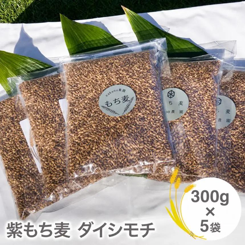 山々と源流の山国町「nakano麦園」の希少な『紫もち麦』ダイシモチ300g×5袋 |  紫もち麦 もち麦 麦 ダイシモチ 紫麦 雑穀 穀物 希少 国産 麦ご飯 1500g 1500グラム 1.5kg