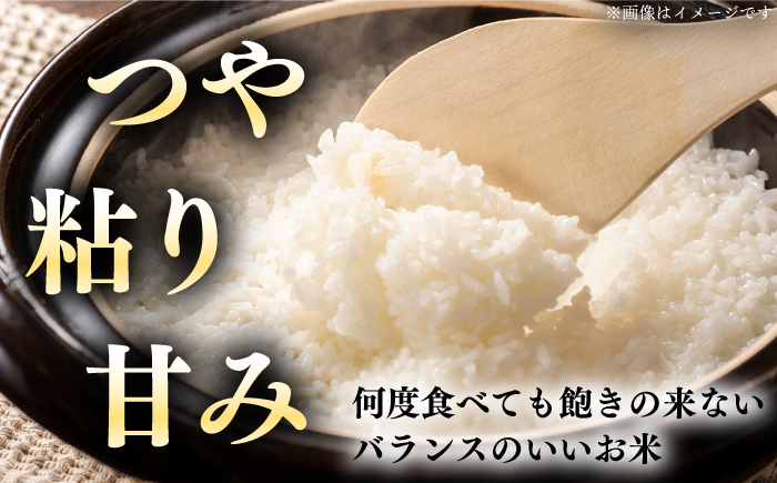 【全6回定期便】【令和6年産新米】【特A】一等米 さくら米（ななつぼし）10kg《厚真町》【とまこまい広域農業協同組合】  米 お米 白米 ななつぼし 特A 一等米 北海道[AXAB023]