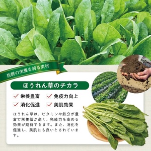 冷凍ほうれん草ペースト1.5kg(500g×3袋) 山形県遊佐産 冷凍便 ※離島発送不可 冷凍 ほうれん草 ほうれんそう ホウレンソウ 野菜 野菜ペースト 離乳食 介護食 お菓子作り 小分け ゆざ食彩
