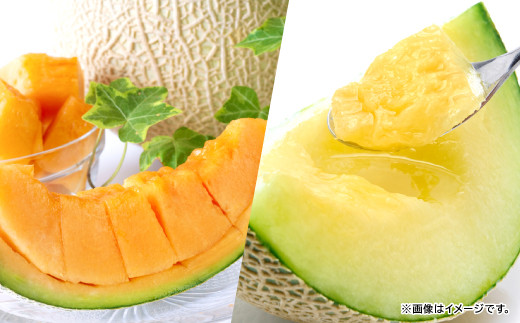 A-702 青肉と赤肉のアールスメロンセット