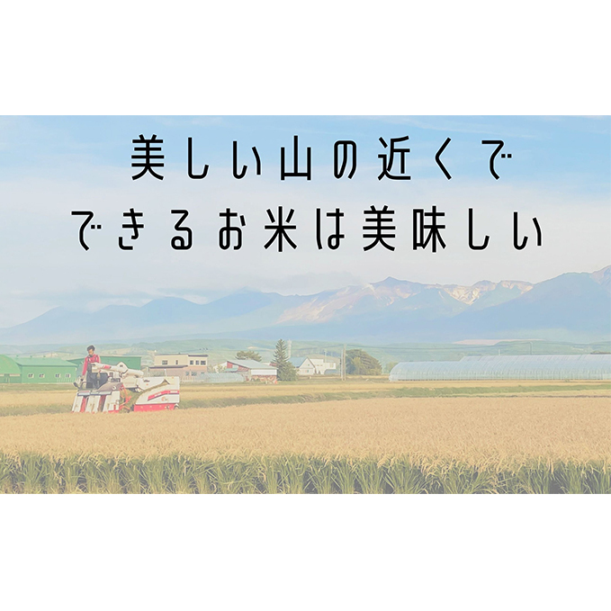 ◆2ヶ月に1回お届け/計3回定期便◆ななつぼし 精米 10kg /北海道 上富良野産 ～It's Our Rice～ _イメージ5