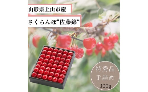 さくらんぼ（佐藤錦）３００ｇ　手詰め　特秀品　0055-2502