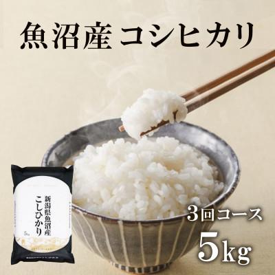 ふるさと納税 十日町市 【毎月定期便】魚沼産コシヒカリ(精米)5kg×1袋全3回