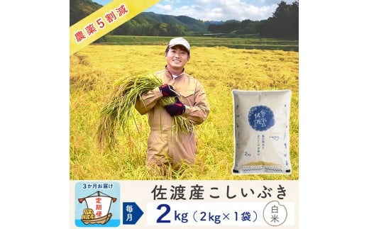 【3か月定期便】佐渡島産こしいぶき 白米2Kg 令和7年 ～農薬5割減～ 農家直送