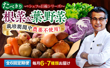 【全6回定期便】 【シェフの目線】　根菜×葉野菜 （6-7種）　少量食べきりセット　 野菜 果物 やさい 少量セット 食べきり[AGBX053]