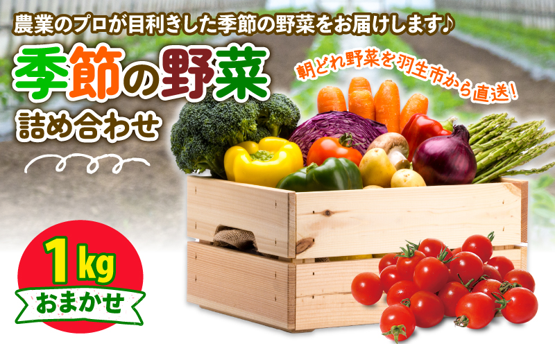 季節の野菜 詰め合わせ 1kg