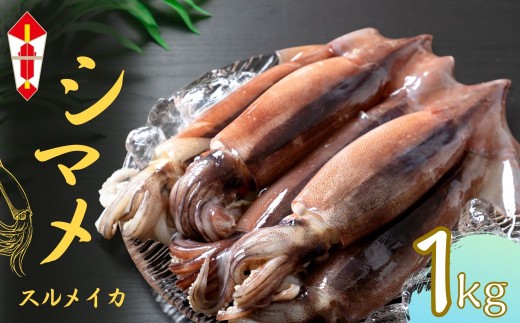 のし付き：【朝どれスルメイカ 丸ごと5~6本】スルメイカ シマメ 約1kg 冷凍 刺身 個包装 捌き方説明書付き（ いか 烏賊 イカ スルメ お歳暮 年末年始 御歳暮 ギフト）