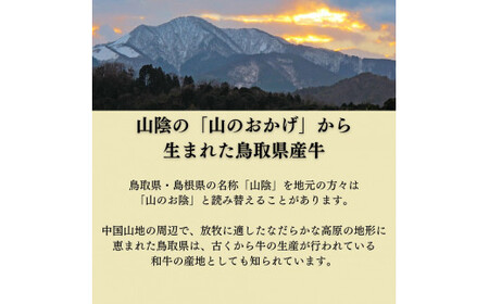 鳥取県産牛　マル腸　1kgお肉 肉 牛肉 和牛 鳥取和牛 牛肉 肉 国産 お肉 冷凍マルチョウ 焼肉 もつ鍋 もつ煮込み マルチョウ