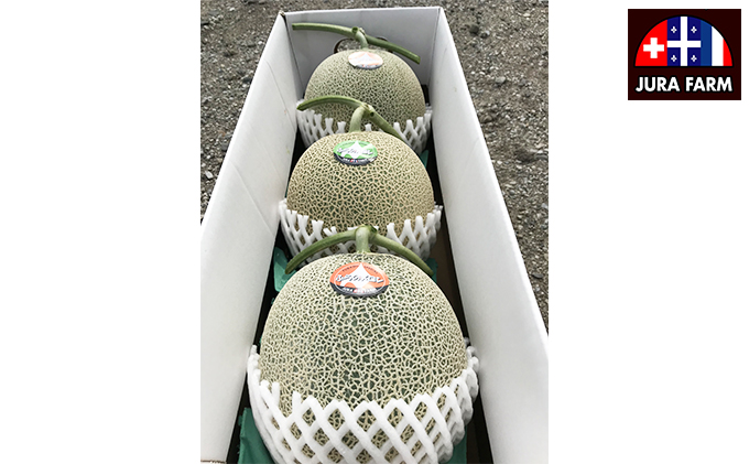 【2026年6月下旬～発送】特選 ふらの メロン 3玉 計約6kg 北海