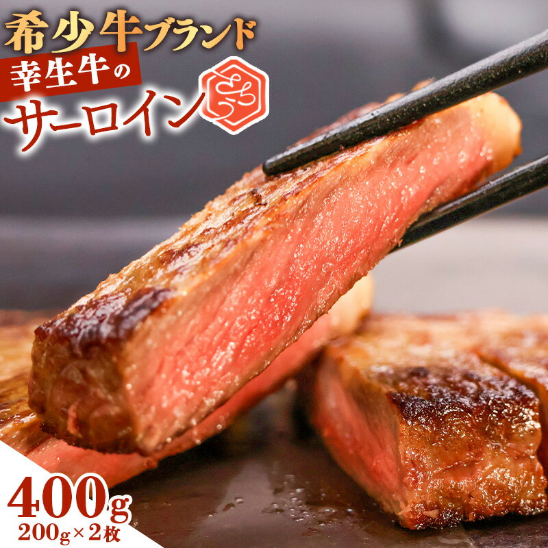 【ふるさと納税】【ふるさと納税限定】 幸せを運ぶ牛《幸生牛》希少牛 サーロインステーキ 400g (200g×2) ／ 厳選 牛肉 小分け ご褒美 ディナー 人気 山形県産 サーロイン ステーキ お酒のお供 贅沢 お取り寄せ 山形 個包装 高級 国産 限定 数量限定 希少