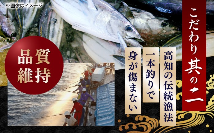 魚介類 魚 お魚 刺身 かつお カツオ 高知 新鮮 たたき タタキ 贈答 贈り物 プレゼント