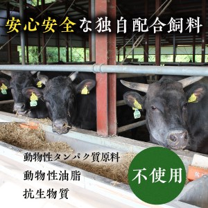Y119 田村牛 特選ロースすきやき＆ステーキセット