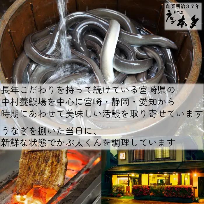 【犬猫用おやつ】うなぎのかぶ太くん 《かみかみタイプ》 国産 無添加 無塩 獣医監修 ペットフード（Ab-201-1）