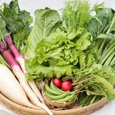 ふるさと納税 佐久穂町 【単発】信州北八ヶ岳からお届け〜のらくら農場の旨み野菜セット〜6種類前後(Sサイズ1〜2人分) |  | 01