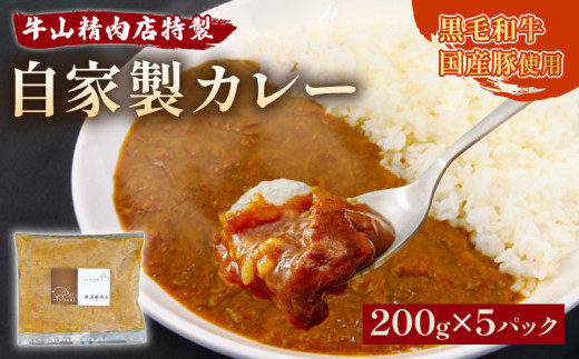 自家製 カレー 200g×5パック 1kg 黒毛和牛 牛肉 国産豚  個包装  湯煎可 温めるだけ 簡単 レンジ 牛山精肉店 特製 手作り セット 沼津 静岡