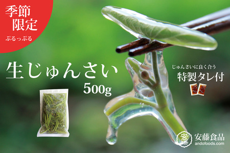 生じゅんさい500g ゆずタレ２個 《冷蔵》（2027年5月上旬頃～7月下旬までに発送予定） 令和9年産 2027年産 先行受付  秋田県産 三種町産