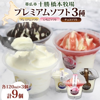 十勝橋本牧場 プレミアムソフト 全味食べ比べセット(3種×各3個)【配送不可地域：離島・沖縄県】【1675557】