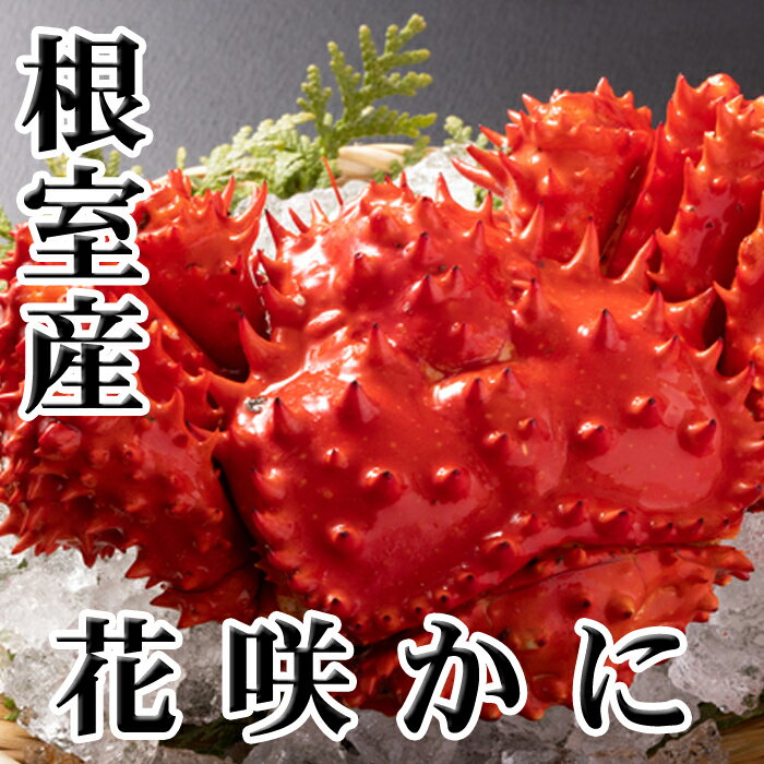【ふるさと納税】[北海道根室産]花咲かに 1尾 〜 10尾 かに カニ 蟹 花咲ガニ 花咲蟹 花咲がに 北海道 根室市