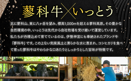 蓼科牛 いっとうプレミアムハンバーグセット