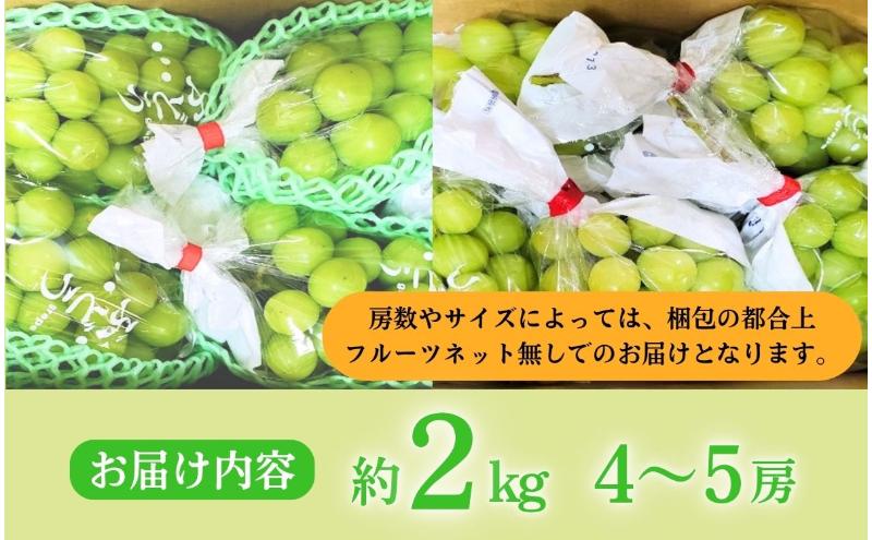 【2026年産】 ぶどう シャインマスカット 4～5房 約2kg 葡萄 ブドウ マスカット 2kg 果物 くだもの フルーツ デザート 旬の果物 旬のフルーツ 長野県 長野