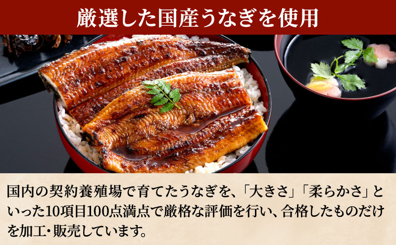 うなぎ蒲焼 200g×2尾(400g) うなぎ ウナギ 鰻 蒲焼 蒲焼き冷凍 国産 大五 大五通商 静岡 島田市