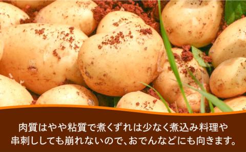 【限定】 馬鈴薯 ニシユタカ 10kg / じゃがいも / 南島原市 / 島原雲仙農業協同組合 南部基幹営農センター [SAB003]