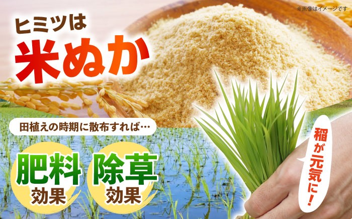 新米 さがびより 白米 5kg 特A米 特A評価 特別栽培米 特別栽培農産物 米 お米 特A 特A評価 佐賀 佐賀県産