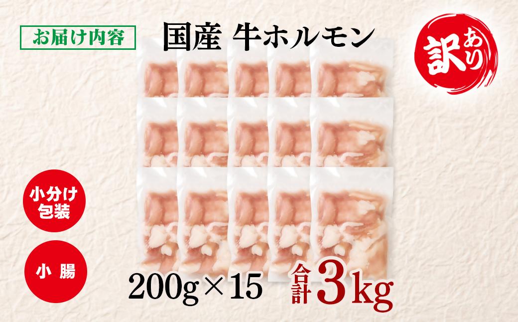 訳あり牛ホルモン3㎏ 小分け200g×15 国産 ホルモン もつ鍋 焼肉用 国産牛 牛モツ コラーゲン＜2-111＞