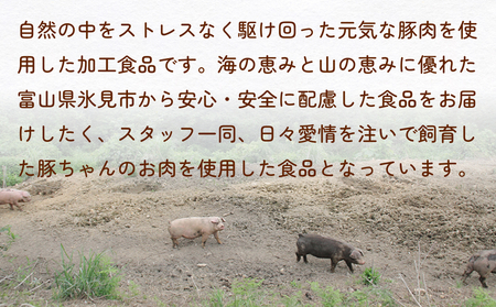 放牧豚 加工品セットD 富山県 氷見市 ポーク 肉 ウインナー ソーセージ ベーコン ボローニャ