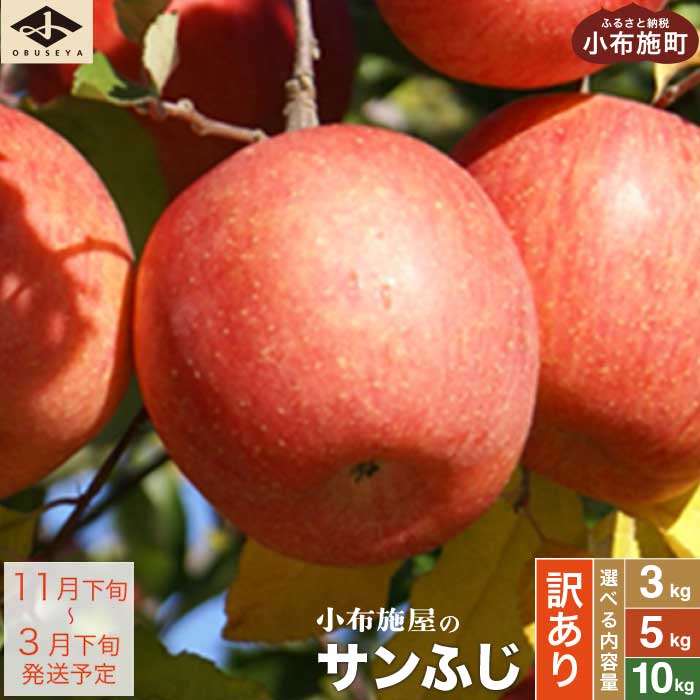 【ふるさと納税】【訳あり】 サンふじ 選べる内容量 約3kg 6～12玉 約5kg 10～23玉 約10kg 24～46玉 ［小布施屋］ りんご 林檎 リンゴ 不揃い 規格外 果物 くだもの フルーツ 長野県 数量限定 生産者応援 支援 家庭用 令和7年産 【2025年11月下旬～2026年3月下旬発送】