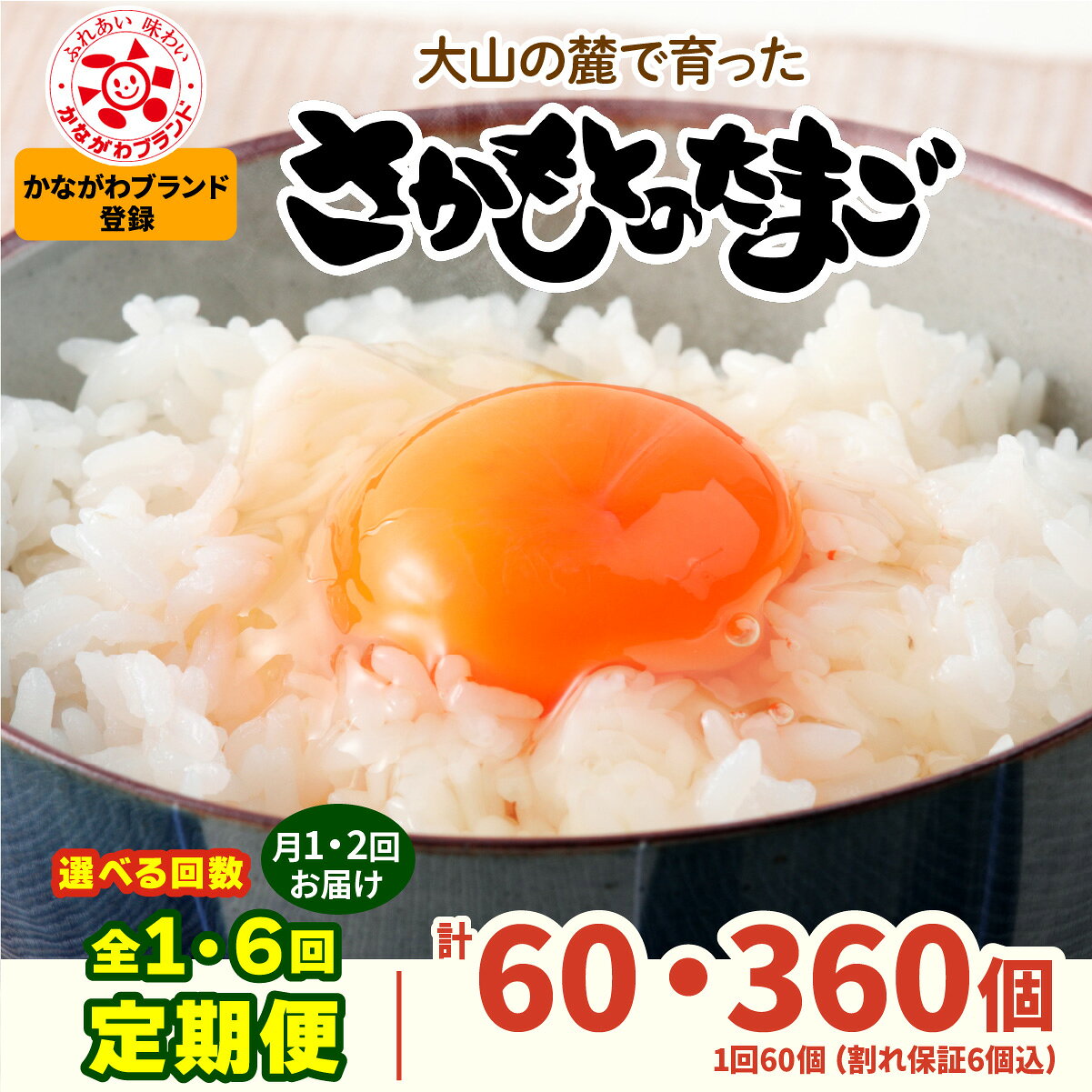 【ふるさと納税】[選べる回数：1回・6回／月1回・月2回] さかもとのたまご 60個 (54個＋割れ保証6個) 合計60個or360個]｜伊勢原市 赤玉卵 玉子 鶏卵 生卵 国産 TKG タマゴ 新鮮 大山 鶏 ギフト 安心 安全 親子丼 卵焼き 目玉焼き お菓子 [1297-1300]