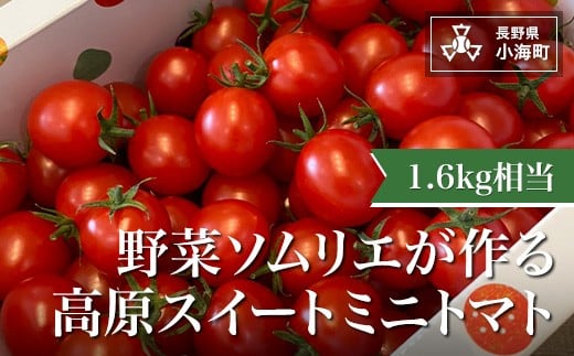 
野菜ソムリエが作る高原スイートミニトマト
