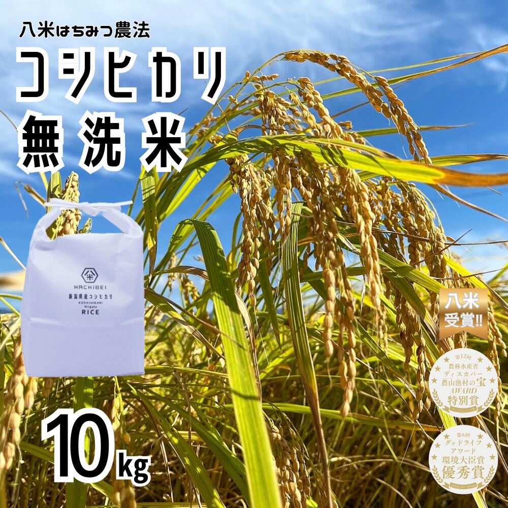 【ふるさと納税】【令和7年産】【環境大臣賞受賞】【特別賞受賞】無洗米 コシヒカリ 10kg 農家直送 ほんのり甘い「はちみつ農法」 白米 精米 HACHIBEI 八米